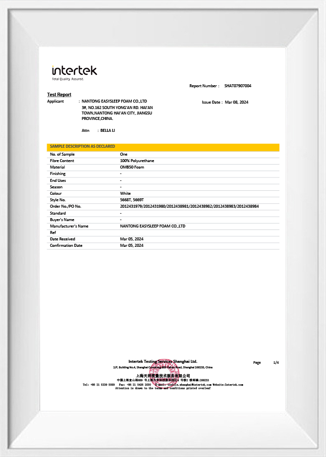 Test Report