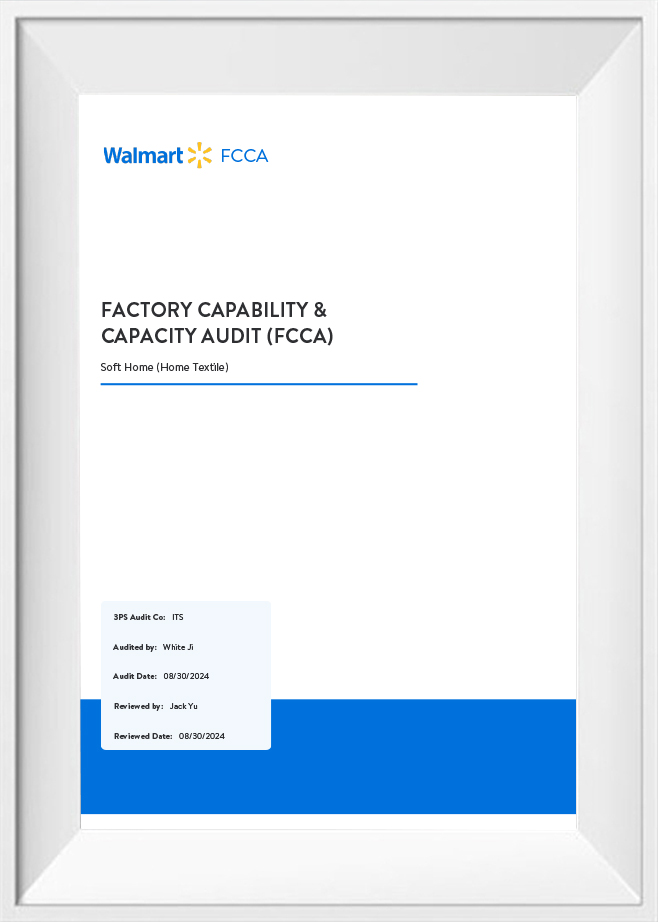 FCCA-Audit-Report